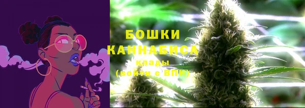трава Абаза