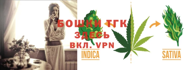 прущие грибы Абинск