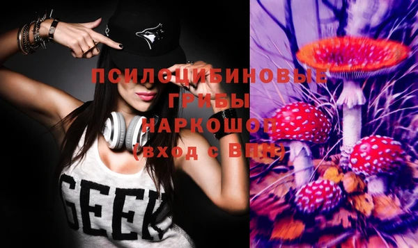 ПСИЛОЦИБИНОВЫЕ ГРИБЫ Алексин