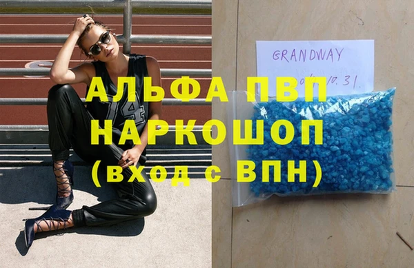 прущие грибы Абинск
