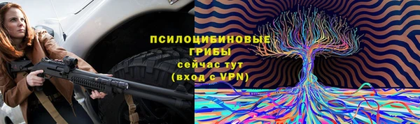 трава Абаза