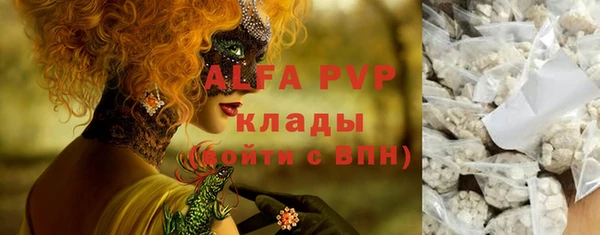 прущие грибы Абинск
