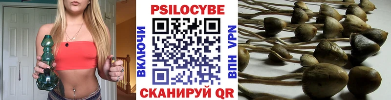 купить наркотик  Новопавловск  Галлюциногенные грибы мицелий 